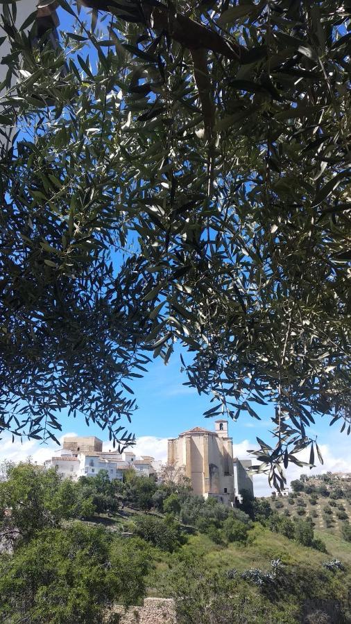 Apartamento El Carmen Setenil De Las Bodegas Zewnętrze zdjęcie