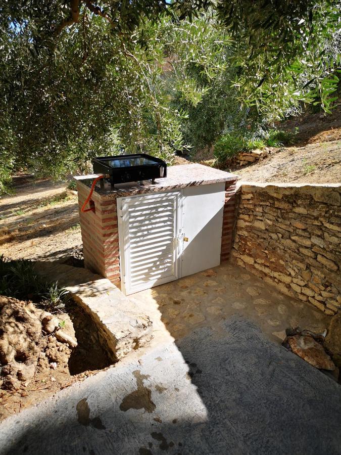 Apartamento El Carmen Setenil De Las Bodegas Zewnętrze zdjęcie