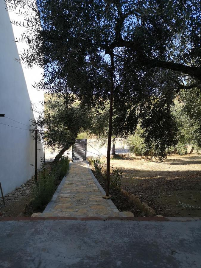 Apartamento El Carmen Setenil De Las Bodegas Zewnętrze zdjęcie